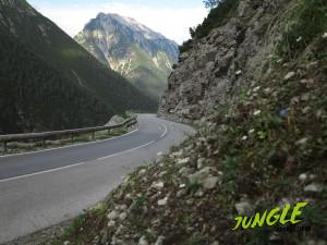 Bergstrassen gibts in Tirol